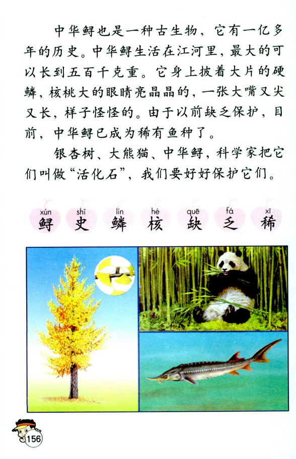 33���ʯ_