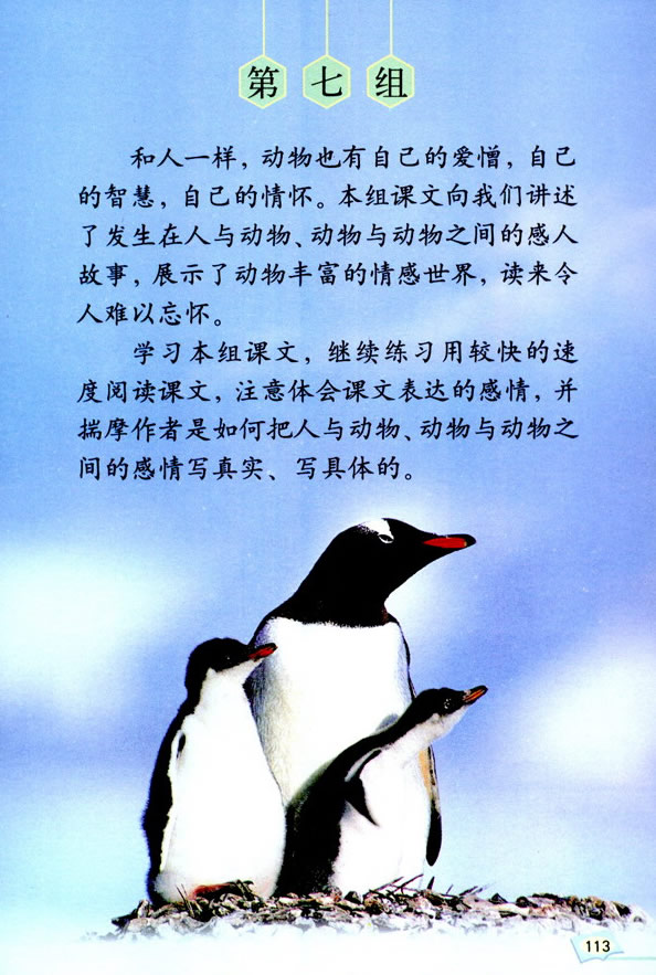 21�������뺣Ÿ_
